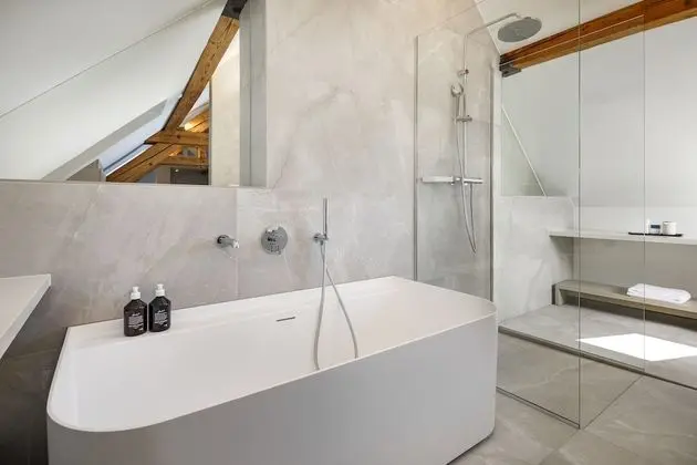Çatı Katı (Loft) (Felix)