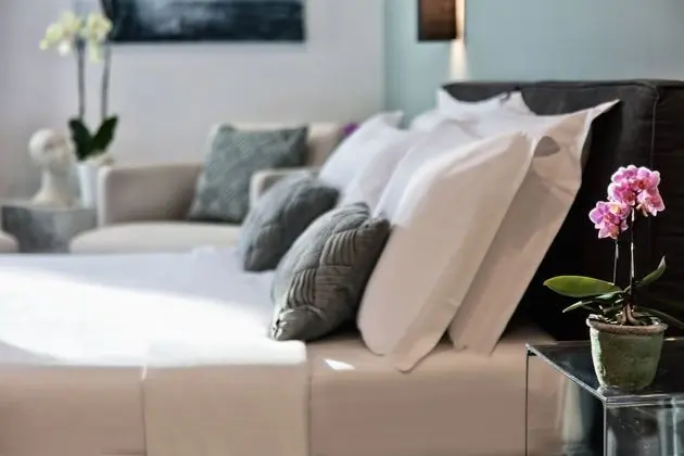 Deluxe Oda, 1 En Büyük (King) Boy Yatak ve Çekyat, Sigara İçilmez, Şehir Manzaralı