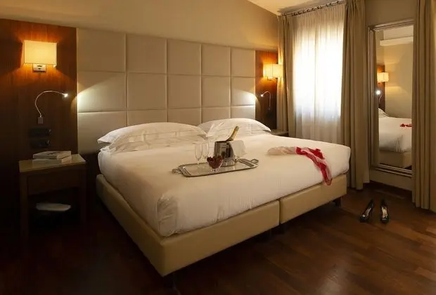 Superior Tek Büyük Yataklı Oda