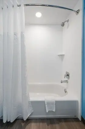 Deluxe Stüdyo Süit, 1 En Büyük (King) Boy Yatak (No Pets Allowed)