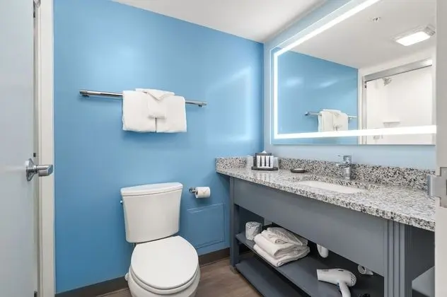Deluxe Stüdyo Süit, 1 En Büyük (King) Boy Yatak (No Pets Allowed)