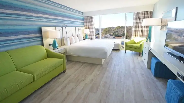 Standard Oda, 1 En Büyük (King) Boy Yatak ve Çekyat (Pet Friendly Room)