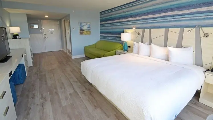 Standard Oda, 1 En Büyük (King) Boy Yatak ve Çekyat (Pet Friendly Room)