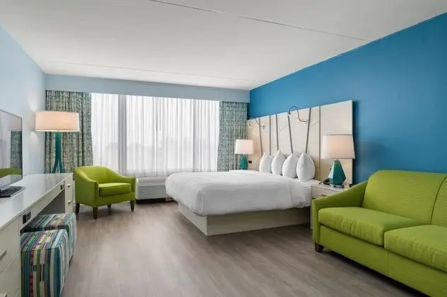 Standard Oda, 1 En Büyük (King) Boy Yatak ve Çekyat (Pet Friendly Room)