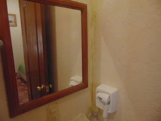 Traditional Oda, 1 Çift Kişilik Yatak, Özel Banyo, Bahçe Manzaralı
