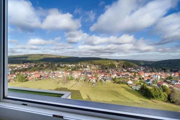 Panoramic Tek Büyük Yataklı Oda, 1 En Büyük (King) Boy Yatak