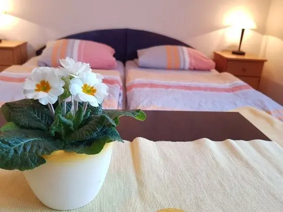 Tek Büyük veya İki Ayrı Yataklı Oda