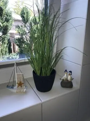 Superior Ev, Özel Banyo (3 Schlafzimmer)