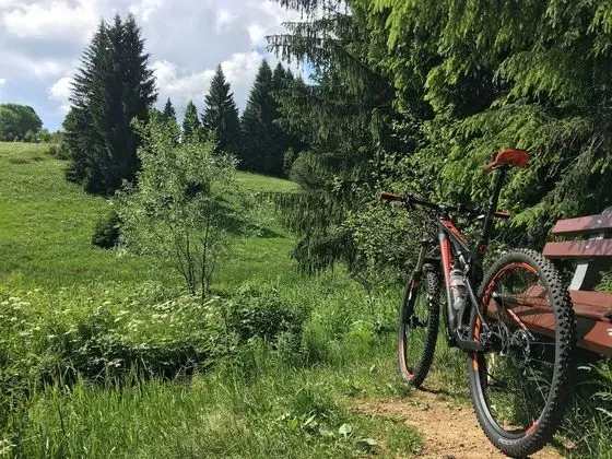 Traditional Ev, Özel Banyo (Bikehütte Rehnhäusl)