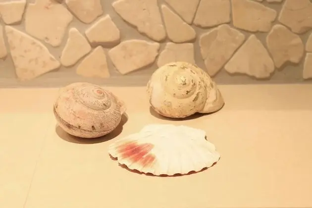 Stüdyo, Mutfak, Bahçeli