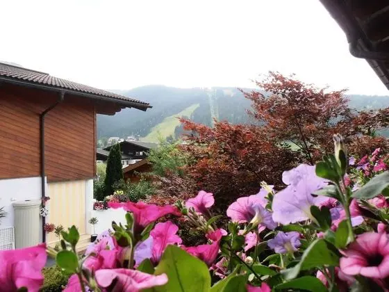 Classic Apart Daire, 2 Yatak Odası