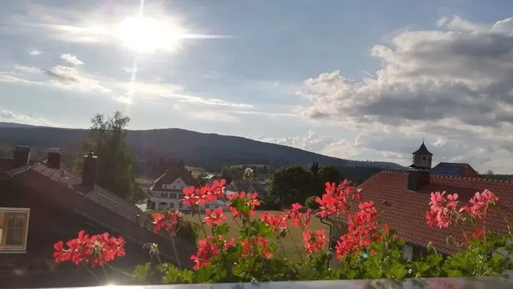 Daire, 2 Yatak Odası, Sigara İçilmez, Teras