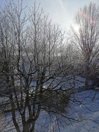 Daire, 2 Yatak Odası, Sigara İçilmez, Teras