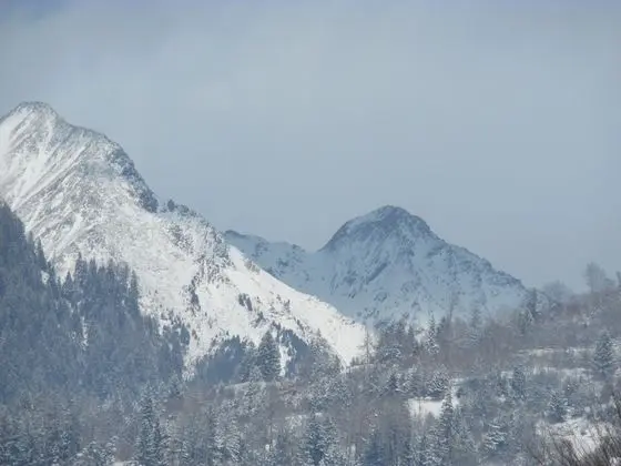 Apart Daire (Kreuzeck)