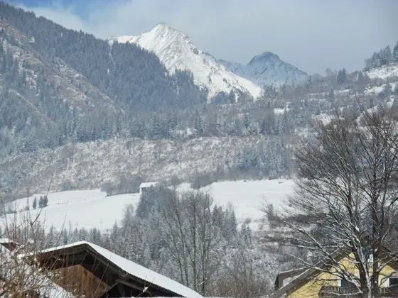 Apart Daire (Reisseck)