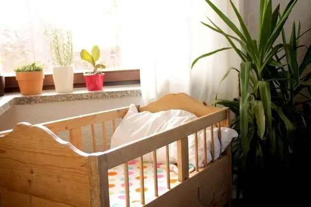 Comfort Dağ Evi, Sauna