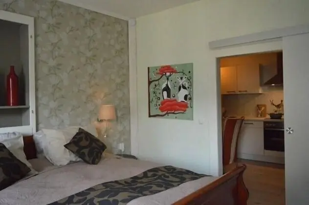 Comfort Apart Daire, 1 En Büyük (King) Boy Yatak, Sigara İçilmez, Mutfak (Steffensberg)