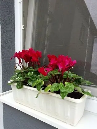 Comfort Stüdyo Süit, 1 Yatak Odası, Engellilere Uygun