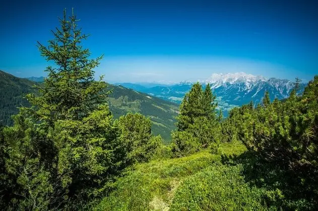 Traditional Dağ Evi (incl. 150 EUR Cleaning Fee)