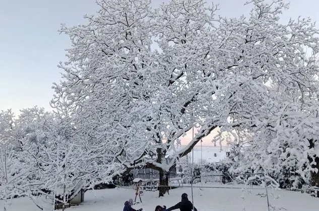 Ev, Birden Çok Yatak