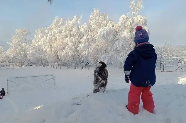 Ev, Birden Çok Yatak