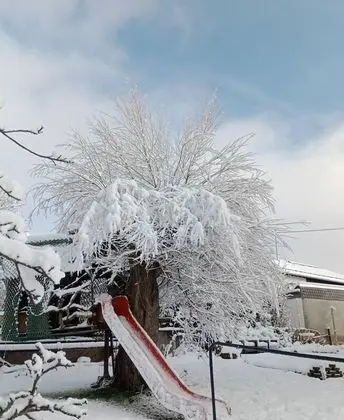 Ev, Birden Çok Yatak