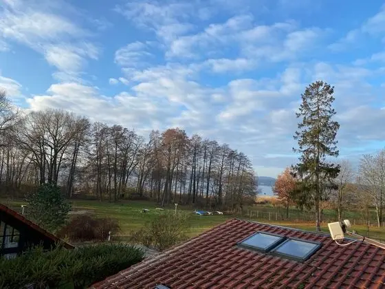 Comfort Apart Daire, 2 Yatak Odası (Wildrose)