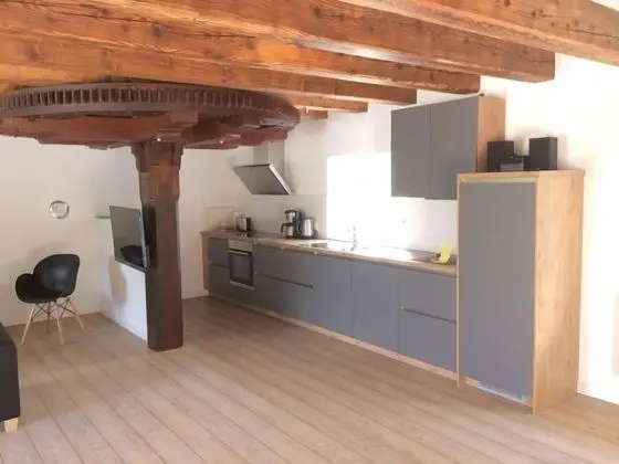 Apart Daire (Alte Wassermühle)