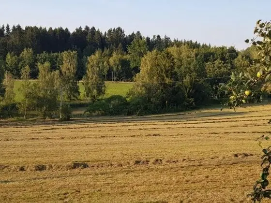 Apart Daire, 1 Yatak Odası, Balkon, Dağ Manzaralı (Apt  3-5)