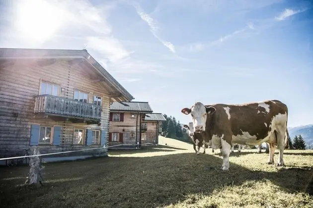 Deluxe Dağ Evi, Dağ Manzaralı (Großglockner - 8 People)