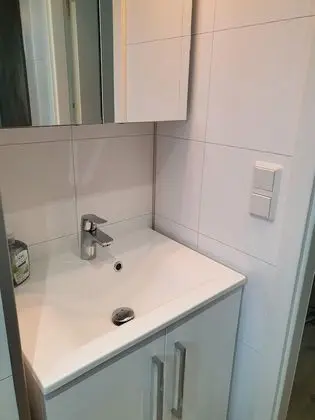 Superior Kır Evi, Özel Banyo (Schwedenhaus )