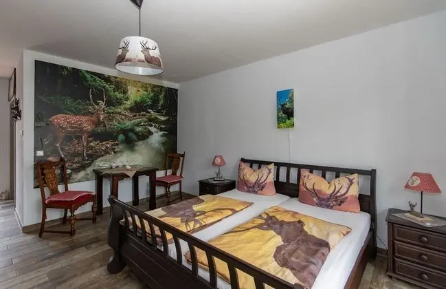 Comfort Tek Büyük Yataklı Oda, Engellilere Uygun