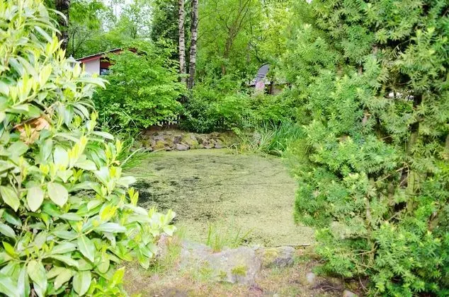 Family Ev, 4 Yatak Odası