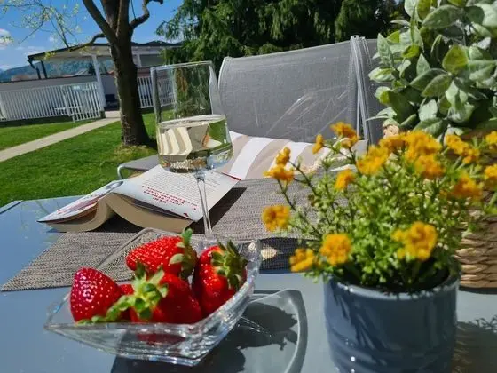 Standard Apart Daire, 2 Yatak Odası, Sigara İçilmez, Havuz Kenarı