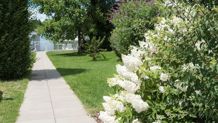 Standard Apart Daire, 2 Yatak Odası, Sigara İçilmez, Havuz Kenarı