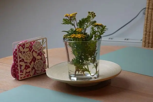 Comfort Daire, Sigara İçilmez