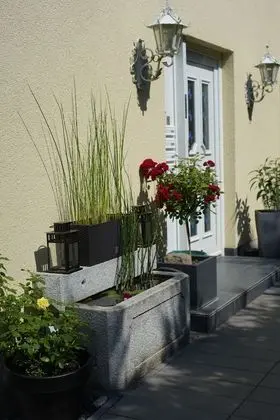 Comfort Daire, Sigara İçilmez