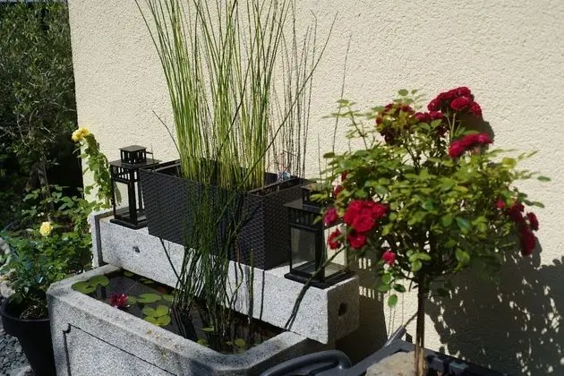 Comfort Daire, Sigara İçilmez