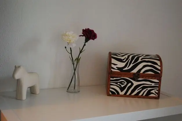 Classic Daire (Zebra)