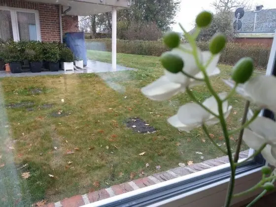 Luxury Apart Daire, 2 Yatak Odası, Engellilere Uygun, Veranda