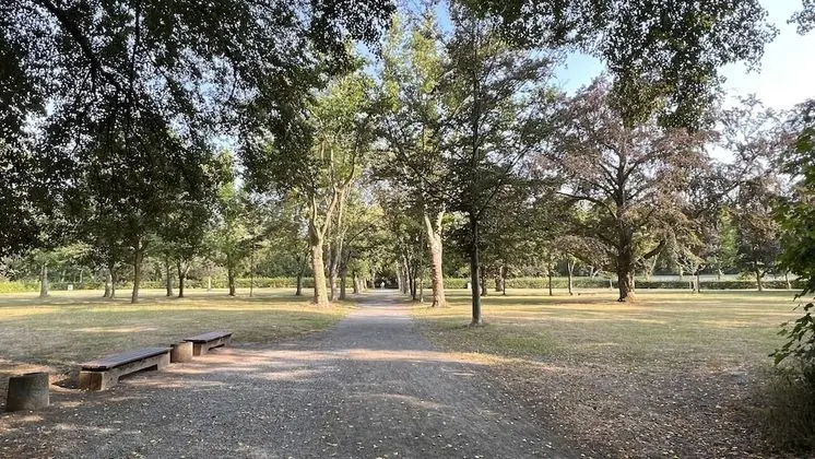 Deluxe Apart Daire, Özel Banyo (König Georg 2)