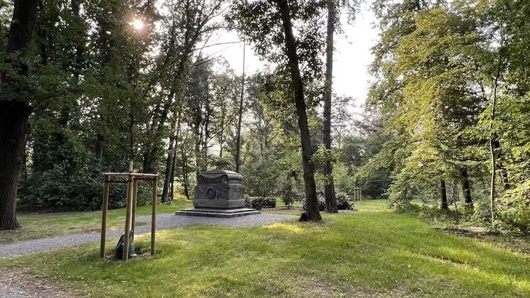 Deluxe Apart Daire, Özel Banyo (König Georg 2)