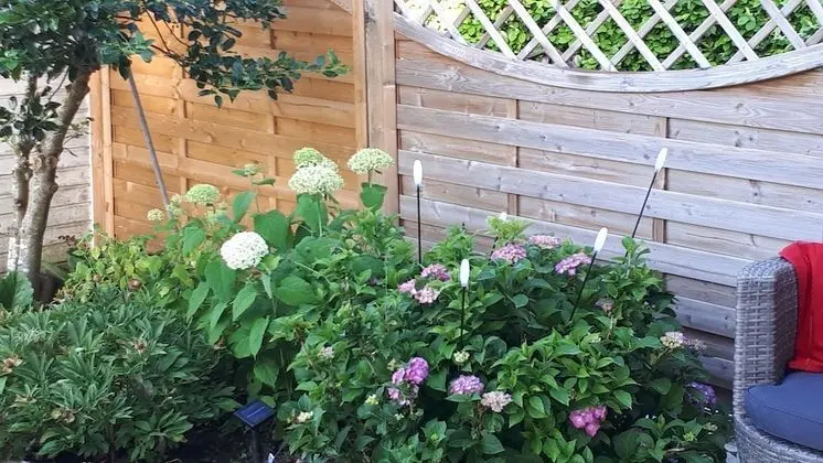 Apart Daire, Özel Banyo (Sonnenschein)