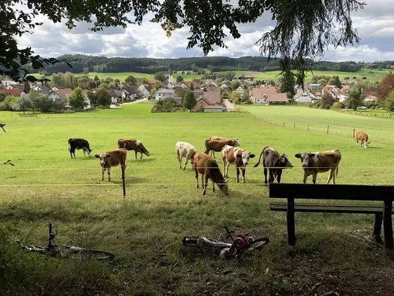 Apart Daire, Özel Banyo, Bahçe Manzaralı