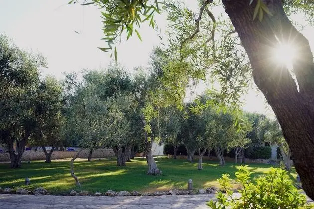 Ev, 1 Yatak Odası, Balkon