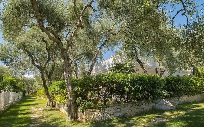 Ev, 1 Yatak Odası, Balkon