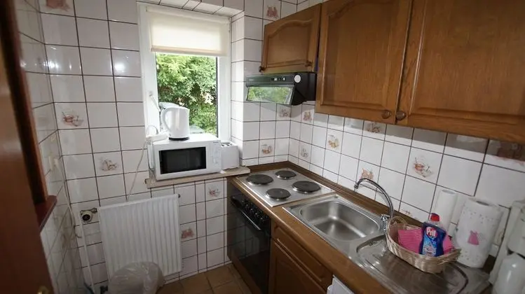 Apart Daire, 1 Yatak Odası, Teras