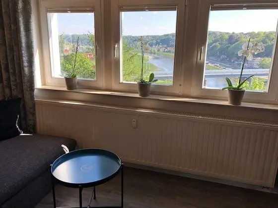 Deluxe Apart Daire, Özel Banyo, Nehir Manzaralı (Elbtalblick)
