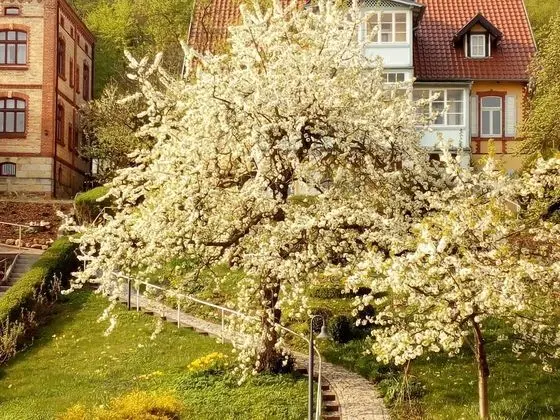 Basic Dubleks, Birden Çok Yatak, Sigara İçilmez, Bahçe Manzaralı