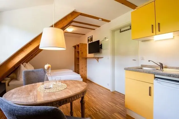 Stüdyo, Özel Banyo, Üzüm Asması Manzaralı (Nr. 2)